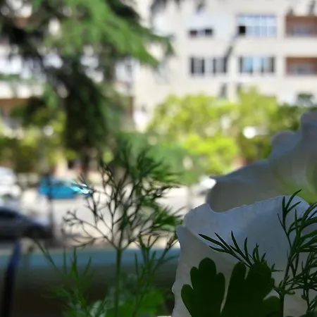 Heart Of Downtown * Podgorica